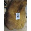 Image 2 : Brown Wild Boar Taxidermy