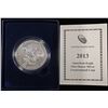 Image 2 : 2013-W AMERICAN SILVER EAGLE OGP