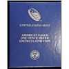 Image 3 : 2013-W AMERICAN SILVER EAGLE OGP