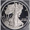 Image 2 : 2017-W AMERICAN SILVER EAGLE PCGS PR70DCAM