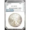 Image 1 : 2008 AMERICAN SILVER EAGLE PCI MS70