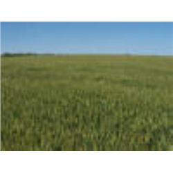 The SE/4 of Sec. 35, Twp. 29 N., R3 W.I.M., Grant Co., OK.