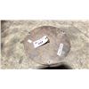 Image 2 : SET OF 2 - 8" X 12" ANCHOR PLATES AND 1 - 15" SINGLE TO 3 ROUND D POINT PLATE