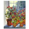 Image 1 : Geranium by Powell, John