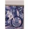 Image 2 : Vintage Scalloped Paint Motorcycle - 20.5" x 16.5"