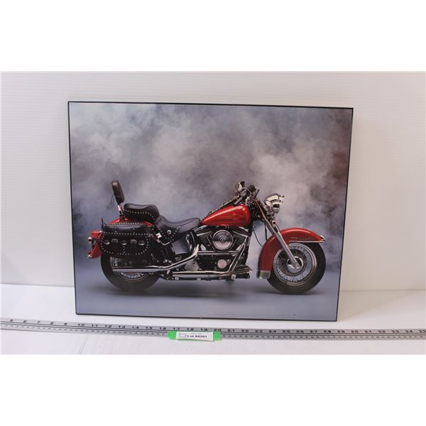 Harley Davidson Motorcycle Picture - 16" x 20"