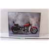 Harley Davidson Motorcycle Picture - 16" x 20"