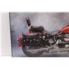Image 3 : Harley Davidson Motorcycle Picture - 16" x 20"
