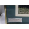 Image 3 : (2) Classic Tractor Picture in Frames (16" x 20"): Waterloo & Farmall