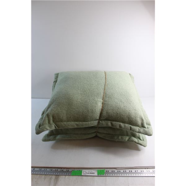 (2) Pillows 21'' x 21''