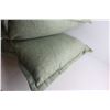 Image 3 : (2) Pillows 21'' x 21''