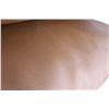 Image 3 : (2) Pillows 16'' x 16'' - Some Damage