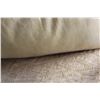 Image 3 : (2) Pillows 19'' x 19''