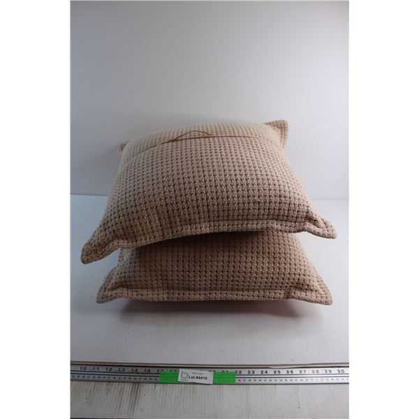 (2) Pillows 20'' x 20''