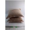 Image 1 : (2) Pillows 20'' x 20''