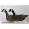 Image 1 : (2) Johnson Folding Steakout Decoys