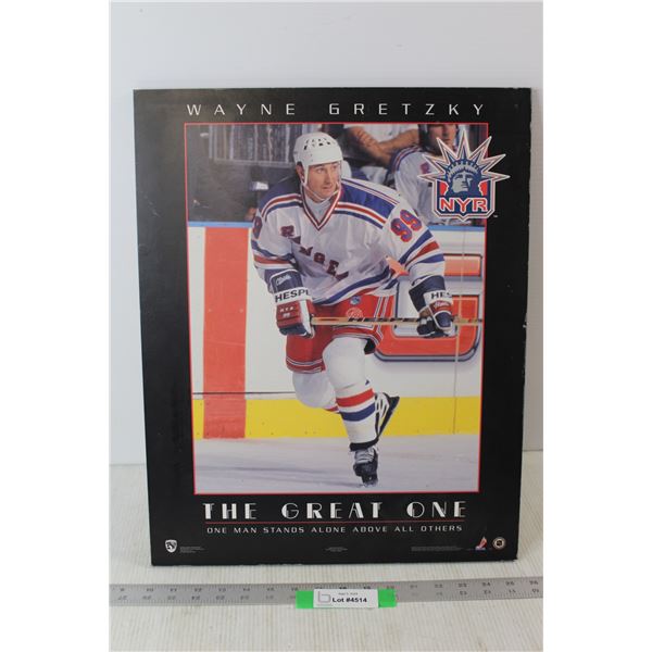 Wayne Gretzky Hockey NHL Board Art - 16" x 20"