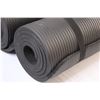Image 2 : (2) Workout Mats