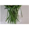 Image 3 : Bunch of Off-White Faux Tulips in Glass Vase - Total Height 16" Tall w/Vase