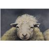 Image 2 : * Sheep Print on Canvas - 36" x 36"