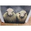 Image 3 : * Sheep Print on Canvas - 36" x 36"
