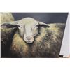 Image 3 : * Sheep Print on Canvas - 36" x 36"