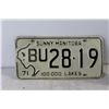 Image 2 : Gulf Gas Line Antifreeze Bottle,1971 Sunny Manitoba License Plate