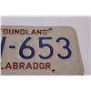 Image 3 : Newfoundland and Labrador Licence Plate
