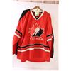 Image 1 : * Team Canada Jersey - Size XXL - Some Stains as Pictured