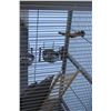 Image 5 : ** Wheeled Bird Cage w/Contents - 18" x 18" 62" High
