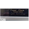 Image 2 : Original Glen Scrimshaw print "Sunset Storm"