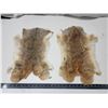 Image 1 : 2 Brown rabbit pelts