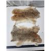 Image 3 : 2 Brown rabbit pelts