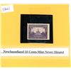 Image 1 : Newfoundland 10 Cents Mint Never Hinged