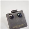Image 2 : 14K Yellow Gold Fresh Water Pearl 2In1 Earrings, Made in Canada, Suggested Retail Value $200