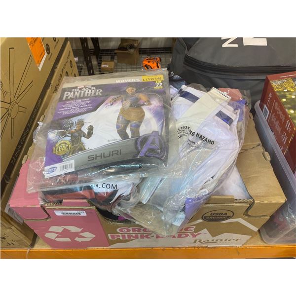 Assorted Box Lot of Halloween Costumes and Festive Decorations