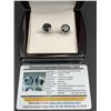 Image 1 : Natural Black Diamond Earrings features 9.40 Carat TW Round Cut Diamonds set in .925 Silver with ret