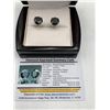 Image 1 : Natural Black Diamond Stud Earrings Featuring 10.82 Carat TW Solitaire Round Cut Stones set in .925 