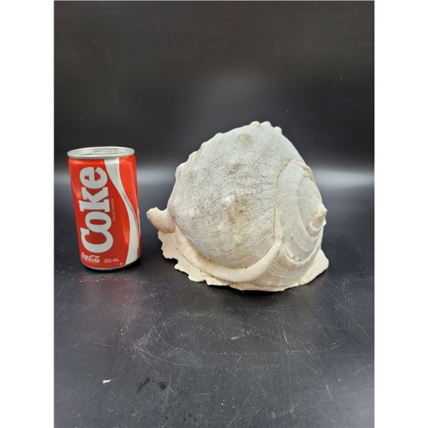 Vintage Conch Shell Decorative