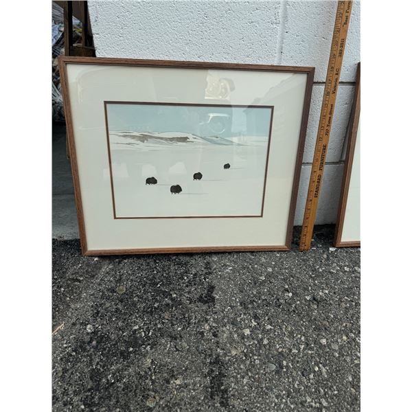 George Miksch Sutton artwork