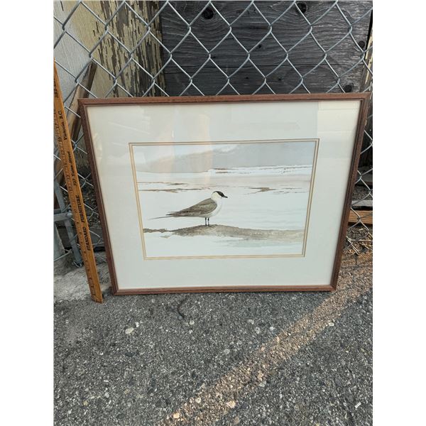 George Miksch Sutton artwork