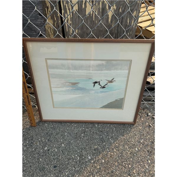 George Miksch Sutton artwork