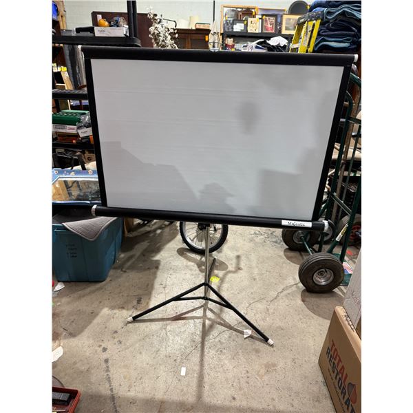 Projector screen/movie screen