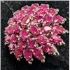 Image 2 : SILVER 7.84G RUBY  RING (~SIZE 6.75)