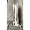 Image 2 : ORTHOCERAS FOSSIL SPECIMEN 12" RETAIL $1100.00