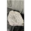 Image 2 : ORTHOCERAS FOSSIL PLAQUE