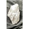 Image 2 : ORTHOCERAS FOSSIL SPECIMEN RETAIL $1100.00