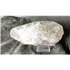 Image 2 : ORTHOCERAS FOSSIL SPECIMEN RETAIL $500.00