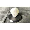 Image 3 : AMETHYST GEODE DRUZY RETAIL $400