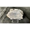 Image 2 : SUGAR FLUORITE SPECIMEN